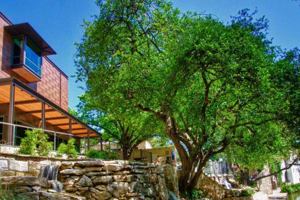 San Antonio Stories and Experiences Highlight Unexpected Angles of America’s 250th Anniversary