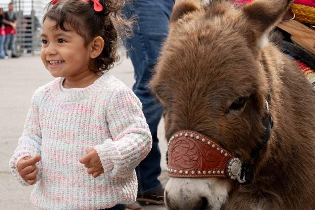 San Antonio Stock Show & Rodeo Youth Rodeo