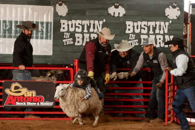 child riding a sheep at san antonio stock show & rodeo