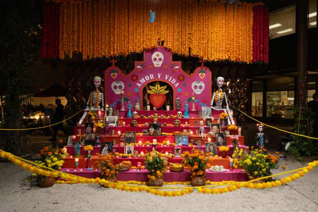 The Pearl Alter/Ofrenda for Day of the Dead
