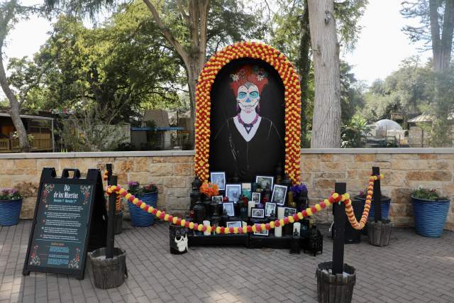 day of the dead altar at san antonio zoo