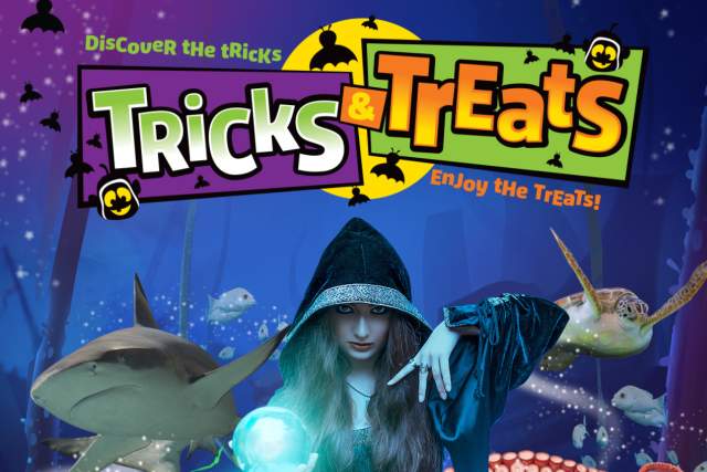 tricks & treats event graphic