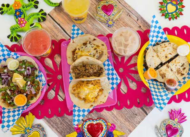 food spread of vegan food from plantaqueria