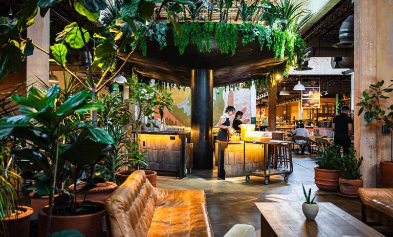 The Best Indoor Things to Do in San Antonio When It’s Cold Outside