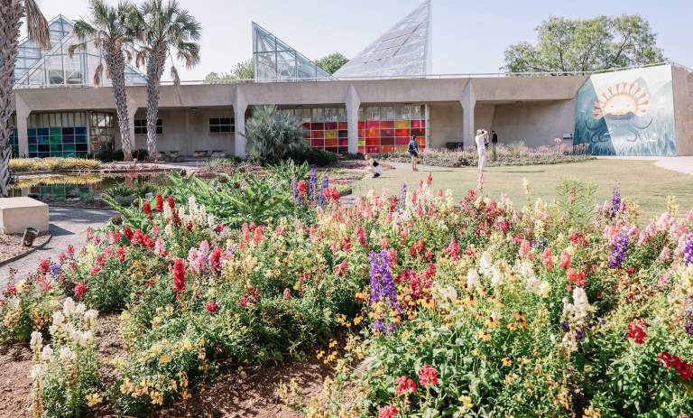 Enjoy the Sunshine: Outdoor Adventures to Experience in San Antonio