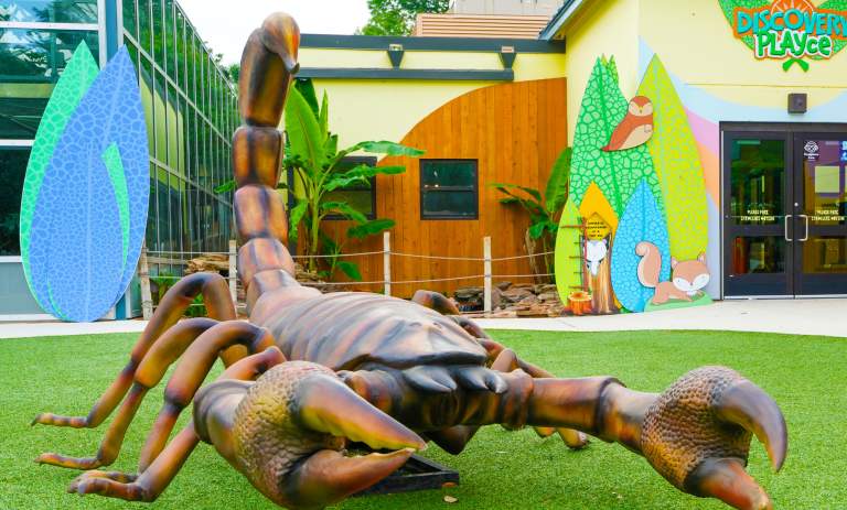5 Ways to Savor the Summer With Family-Friendly Adventures