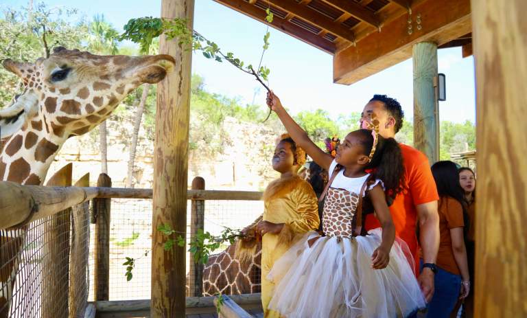 Your 2025 Guide to Halloween Family Fun in San Antonio
