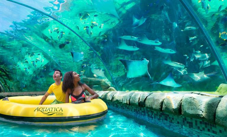 San Antonio in the Summer: Things to Do Every Month