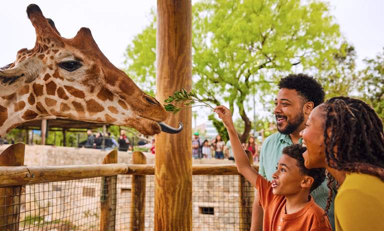 The Many Ways to Kick Off Summer in San Antonio
