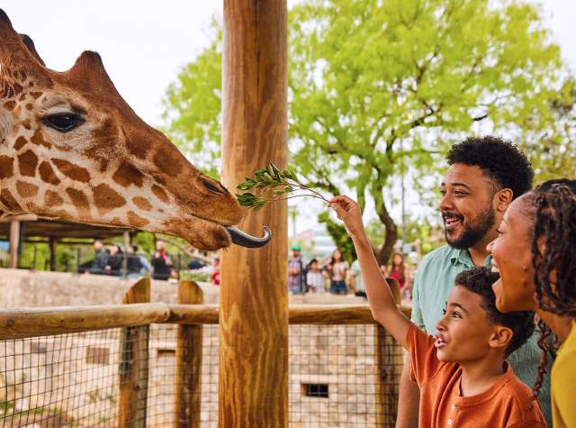 The Many Ways to Kick Off Summer in San Antonio