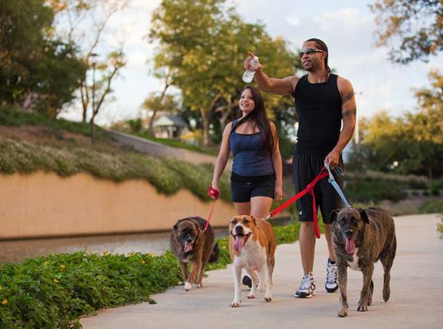 7 Dog-Friendly Activities in San Antonio That Will Make Tails Wag