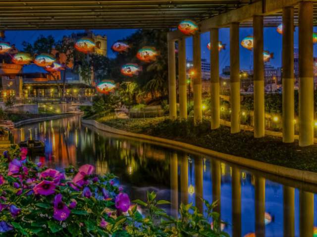 fish at night