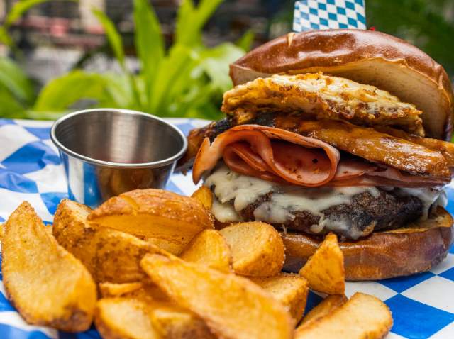 German sandwich and fries