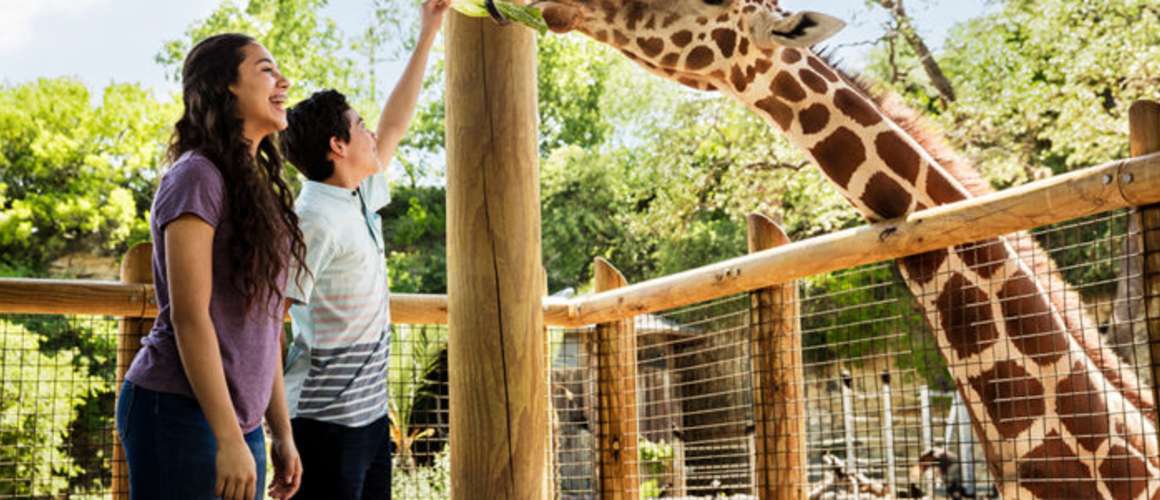 Zoo