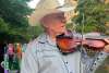 IPW Violin