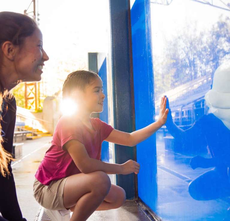 Animal trainer and girl looking at beluga whale at SeaWorld San Antonio.