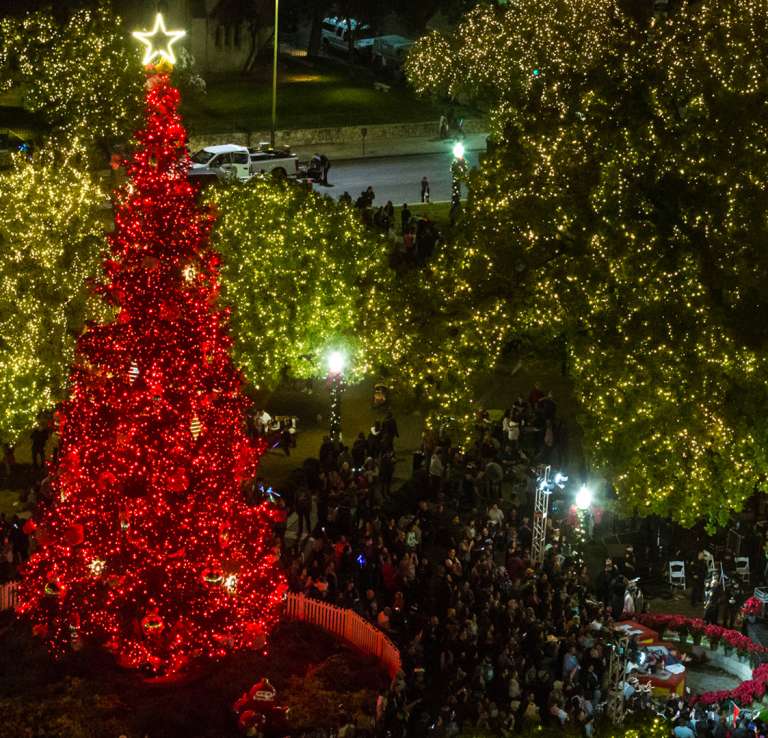 Christmas tree lit up with red lights