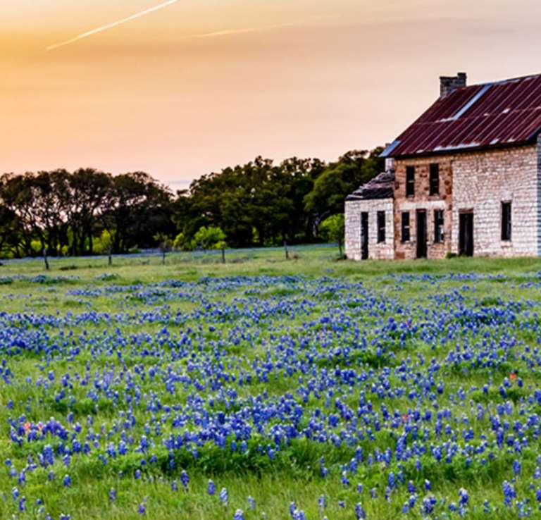 Ranches Hill country