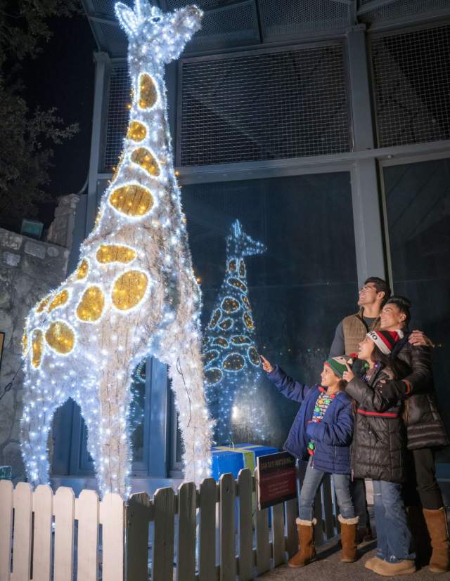 Family admiring lit up giraffe display at Zoo Lights.