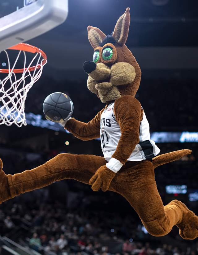 San Antonio Spurs Coyote slam dunking basketball at Spurs game