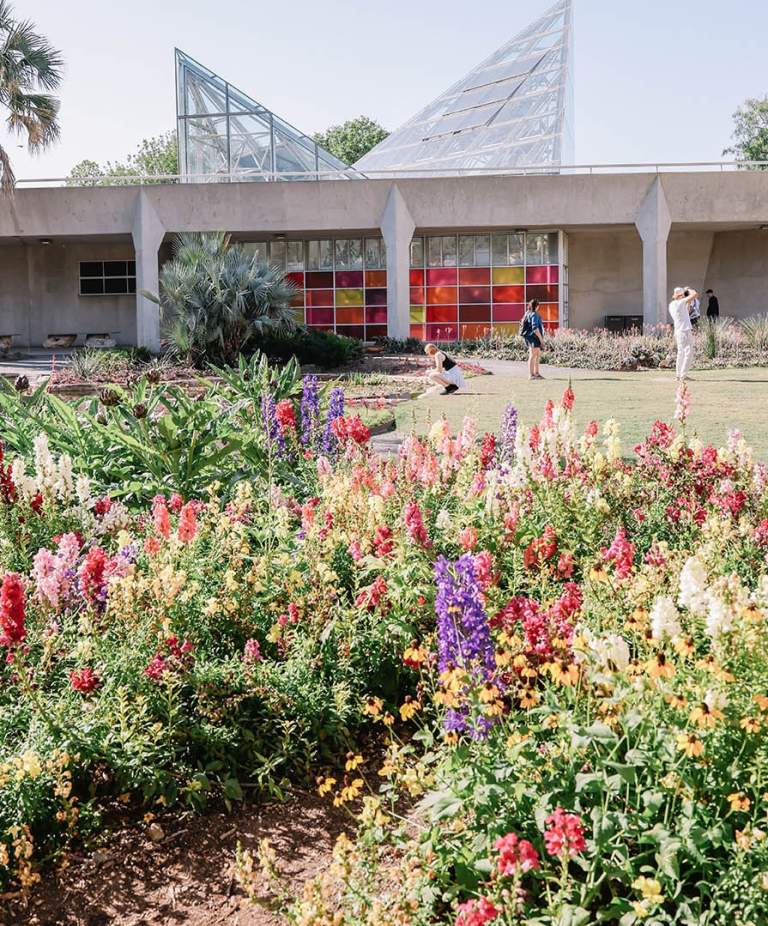 Enjoy the Sunshine: Outdoor Adventures to Experience in San Antonio