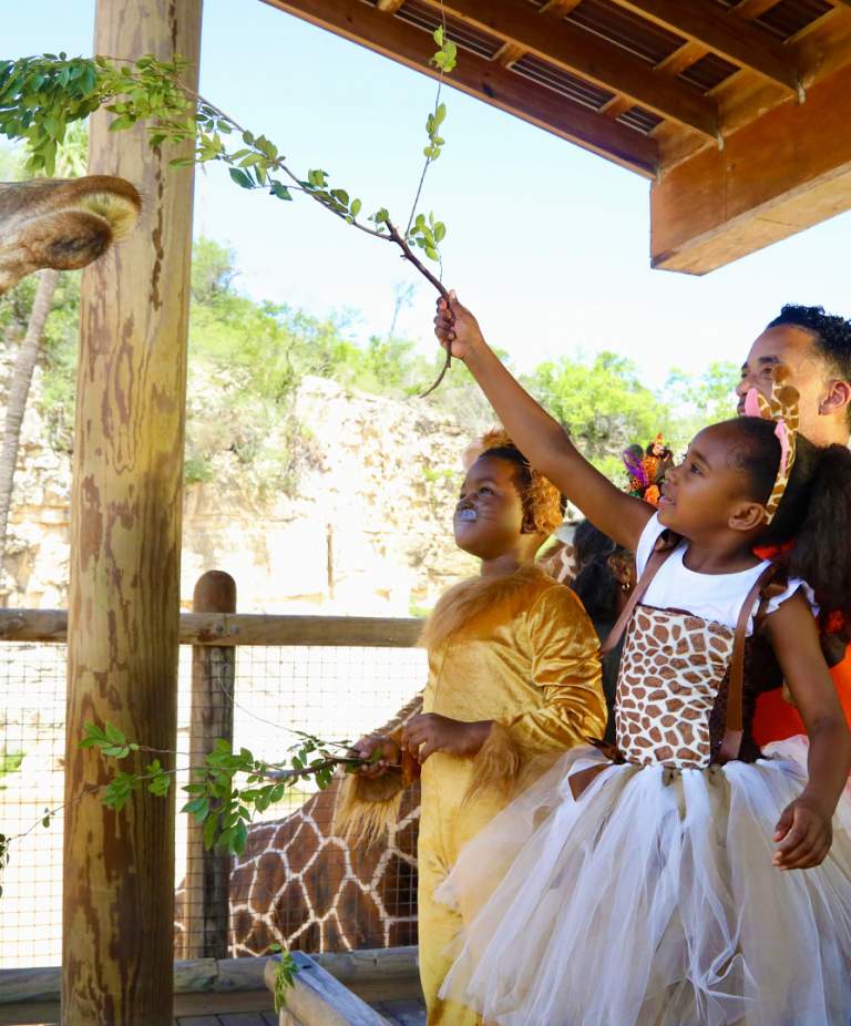 Your 2026 Guide to Halloween Family Fun in San Antonio