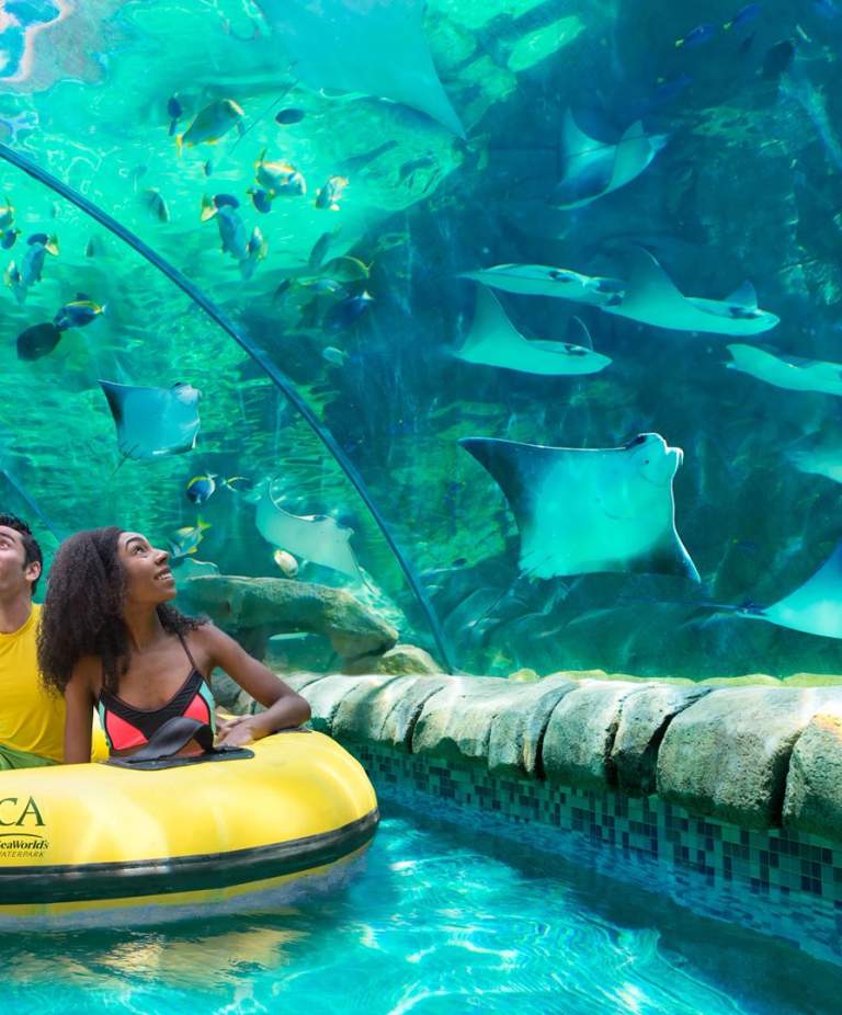 San Antonio in the Summer: Things to Do Every Month
