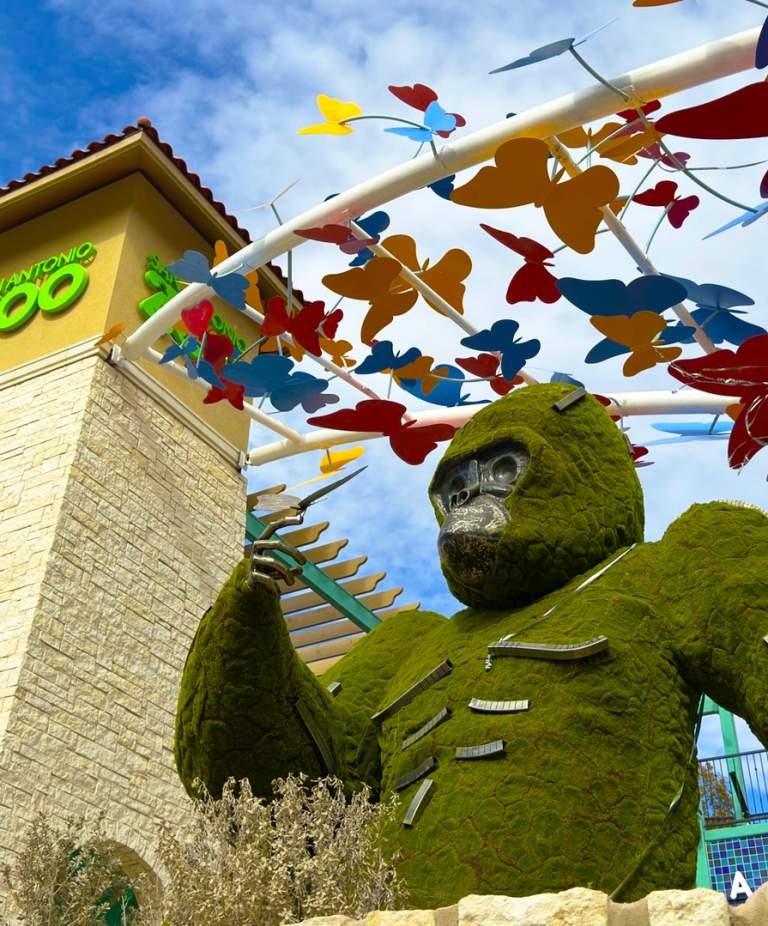 Summer Savings in San Antonio