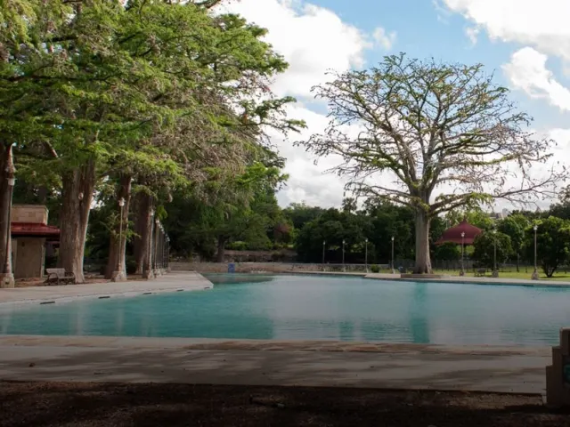 Park with trees and swimming pool