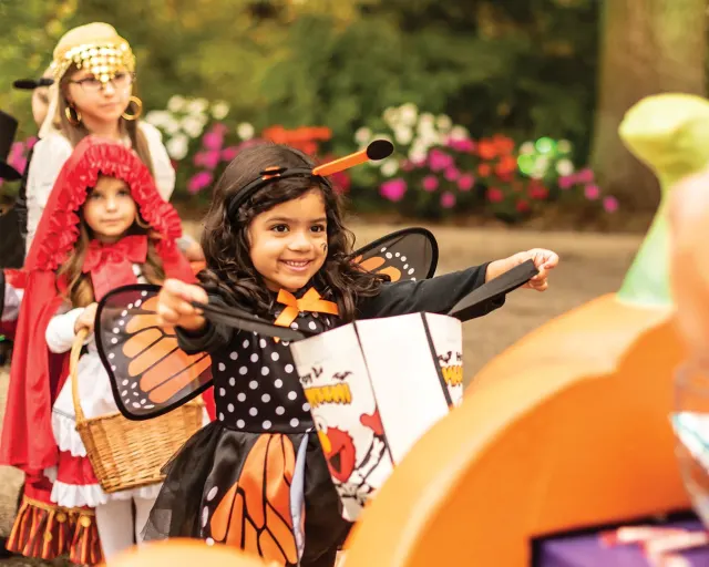 Girl dressed as monarch butterfly for Halloween holding out candy bag at SeaWorld San Antonio
