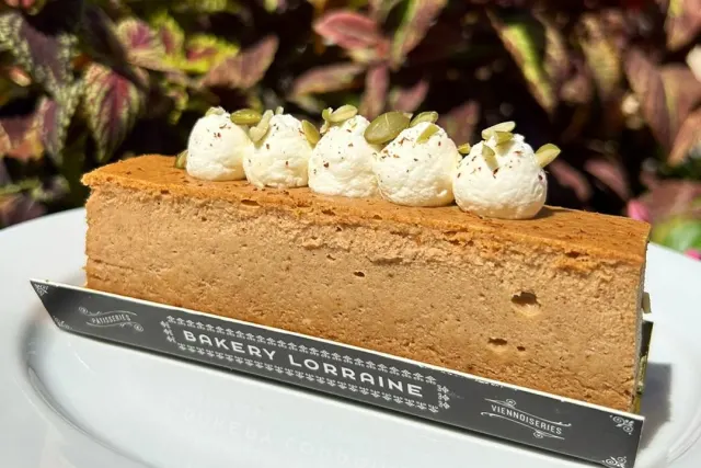 pumpkin spice cheesecake on a plate
