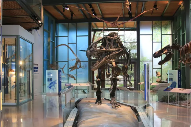 Dinosaur skeleton inside Witte Museum lobby.