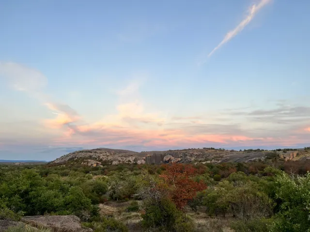 Skyline above natural vegetation