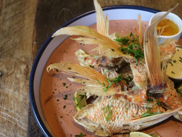 Overhead view of fish dish