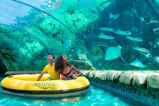 Man and woman in round float drifting through tunnel of stingrays.