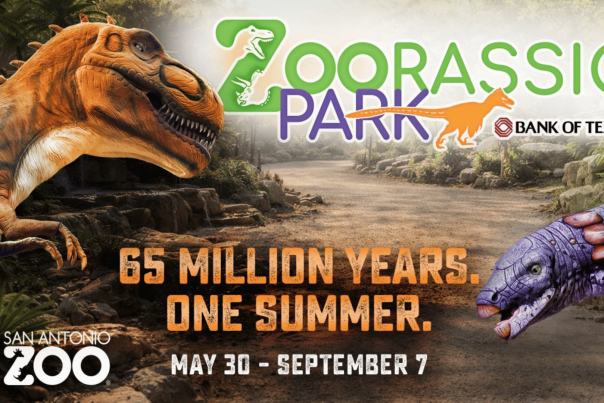 Zoorassic Park Event at San Antonio Zoo event graphic