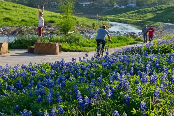 People biking and walking among bluebonnets