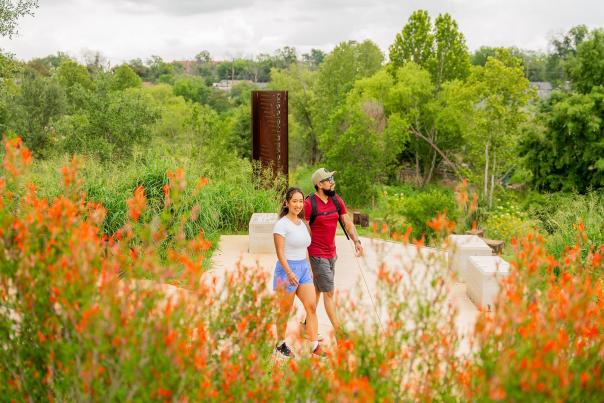 people walking in lush greenery