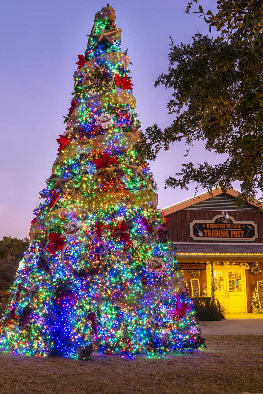 Brightly lit Christmas tree outside