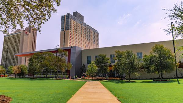 Sidewalk of park with green grass