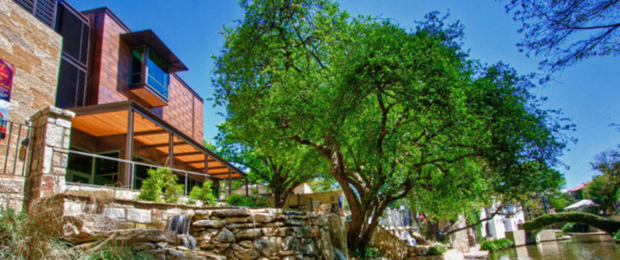 Museum exterior with trees