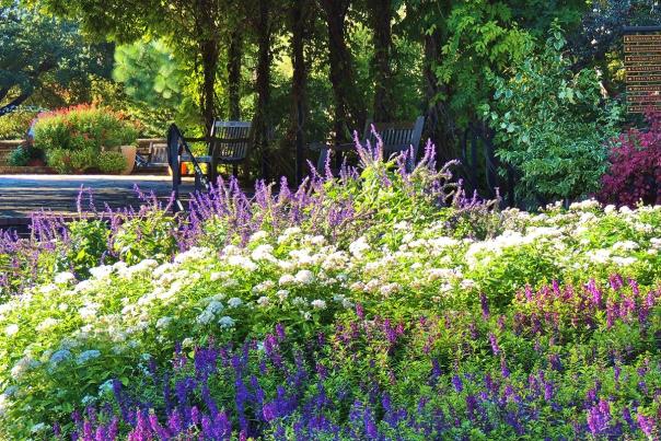 Lush flowers in distance