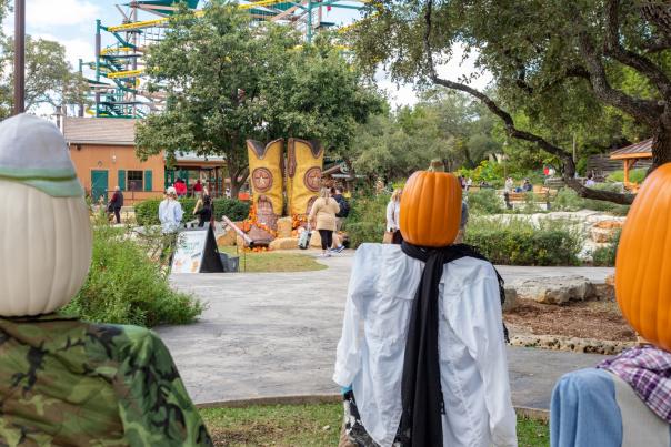Outdoor decor with pumpkins at Natural Bridge Caverns in San Antonio, Texas