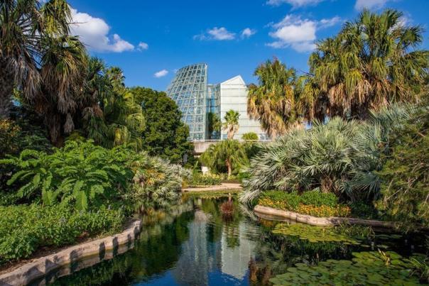 Greenery around large greenhouse at botanical garden