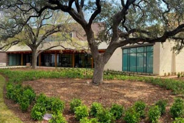 Alamo Collections Center
