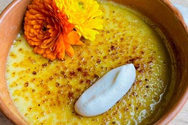 Corn Brulee Fruteria