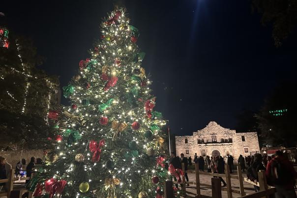 Brightly lit Christmas tree in front of the Alamo.