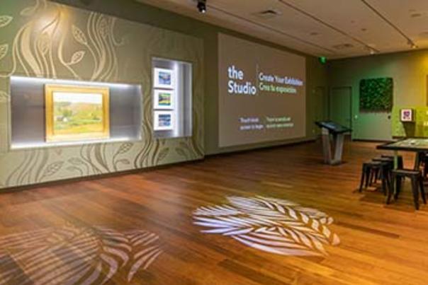 Mcnay studio