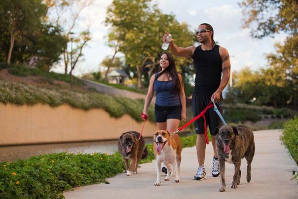 Mission Reach Dog Walk