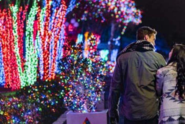 SW Christmas Holiday ITN